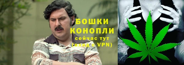 трава Алзамай