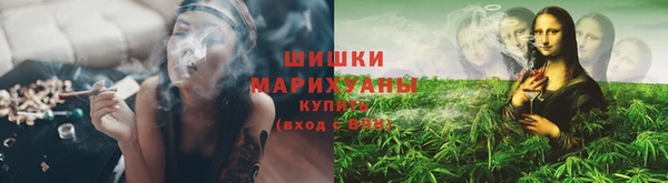 трава Алзамай