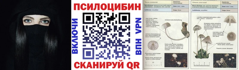 Галлюциногенные грибы GOLDEN TEACHER Павловский Посад