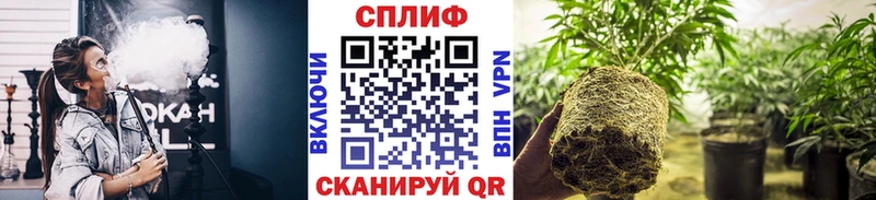 kraken ССЫЛКА Павловский Посад Шишки марихуана тримм